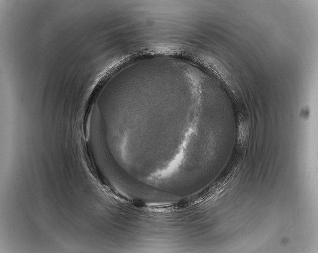X0000098190444200804241248