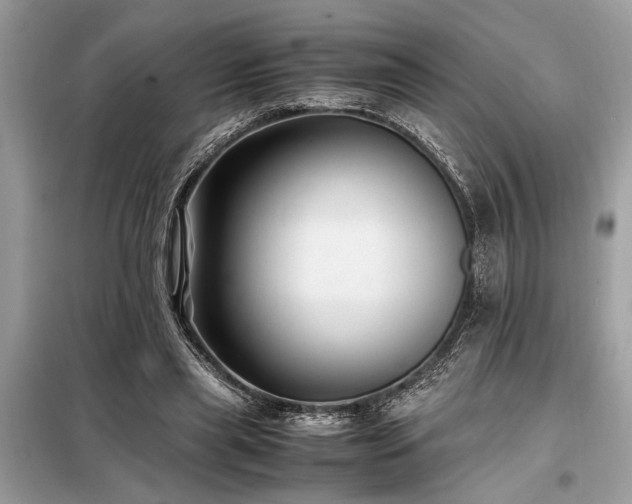 X0000098190445200804241248