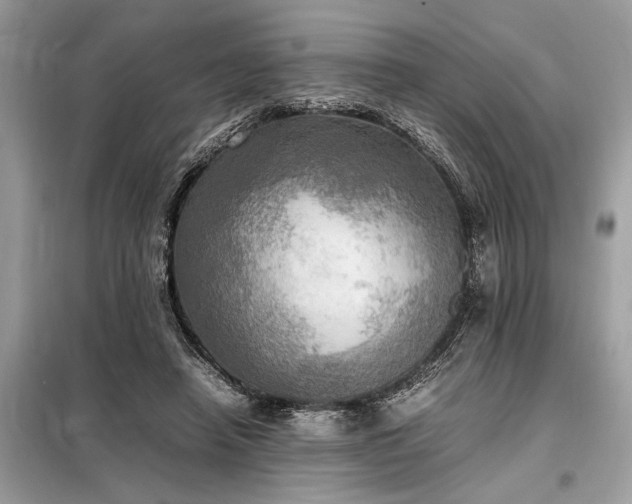 X0000098190450200804241248