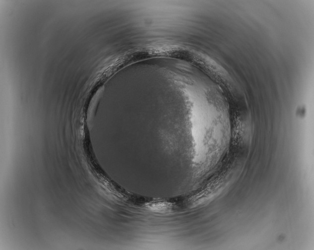 X0000098190452200804241248
