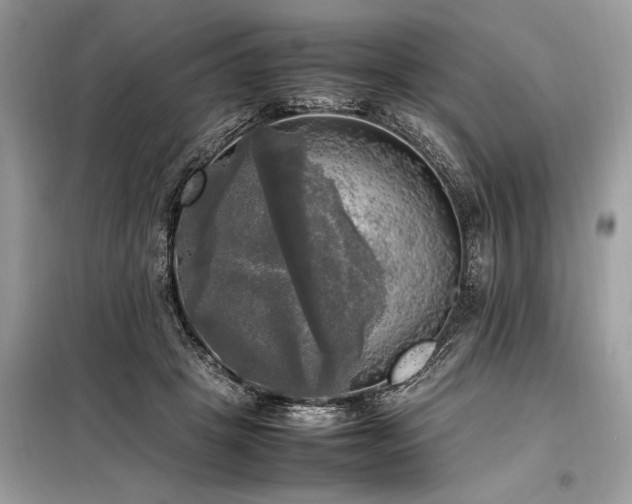X0000098190457200804241249