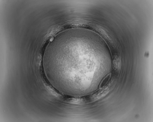X0000098190458200804241249