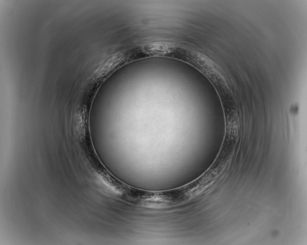 X0000098190460200804241249