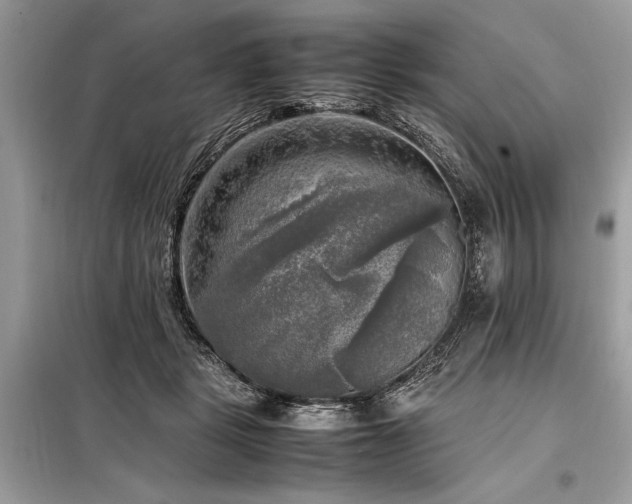 X0000098190461200804241249