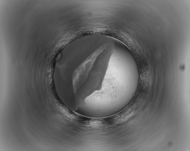 X0000098190462200804241249