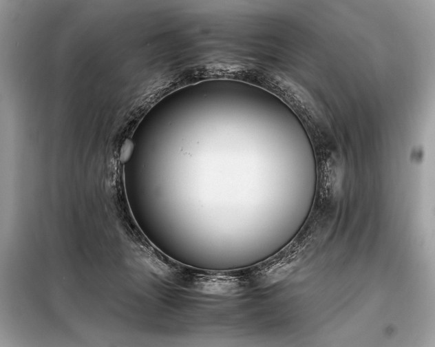 X0000098190463200804241249