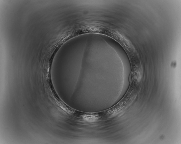 X0000098190465200804241249
