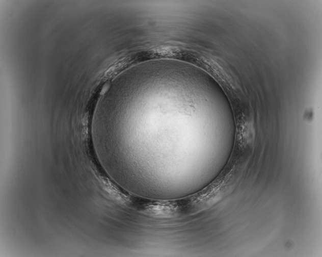 X0000098190466200804241249