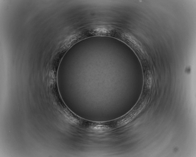 X0000098190467200804241249