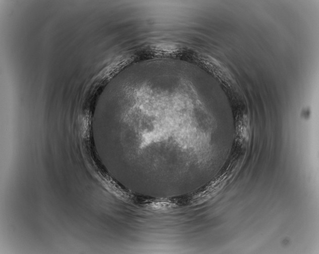 X0000098190468200804241249
