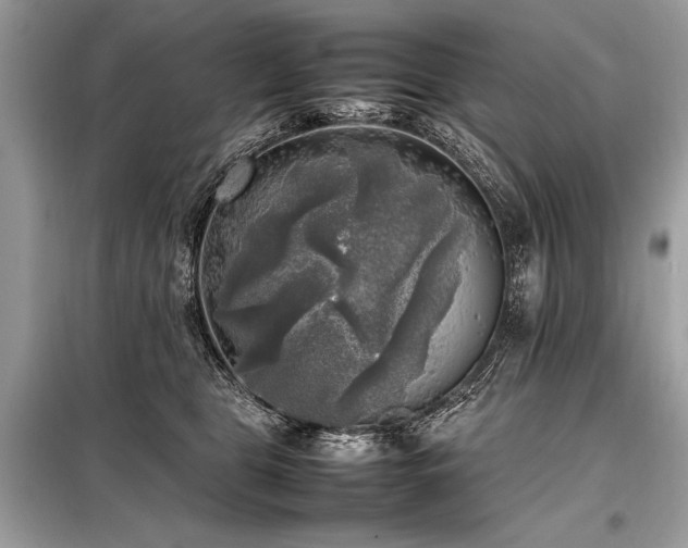X0000098190469200804241249