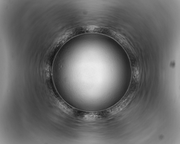 X0000098190470200804241249