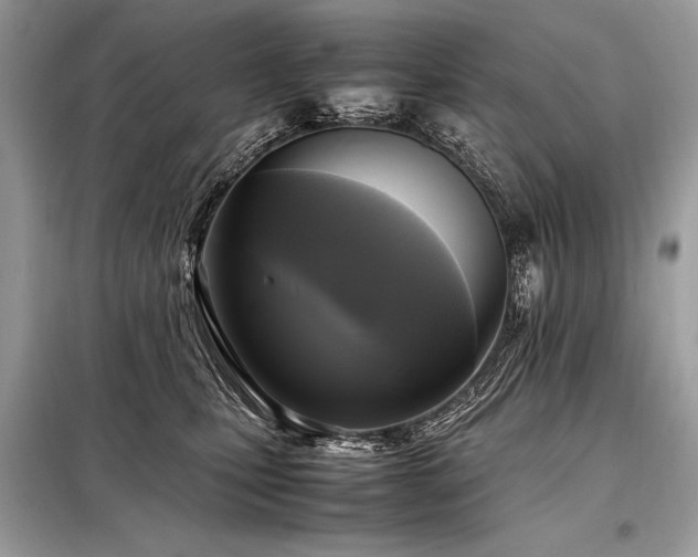 X0000098190471200804241249