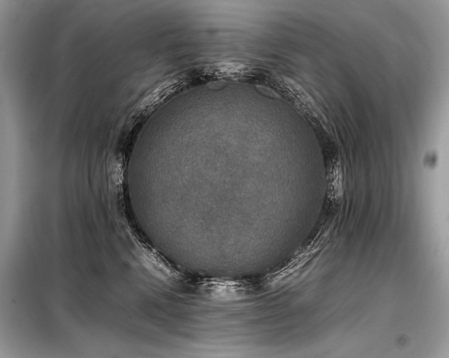 X0000098190472200804241249