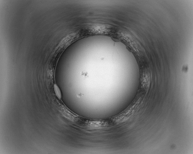 X0000098190473200804241249