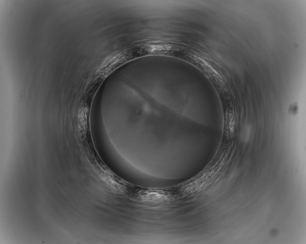 X0000098190475200804241249