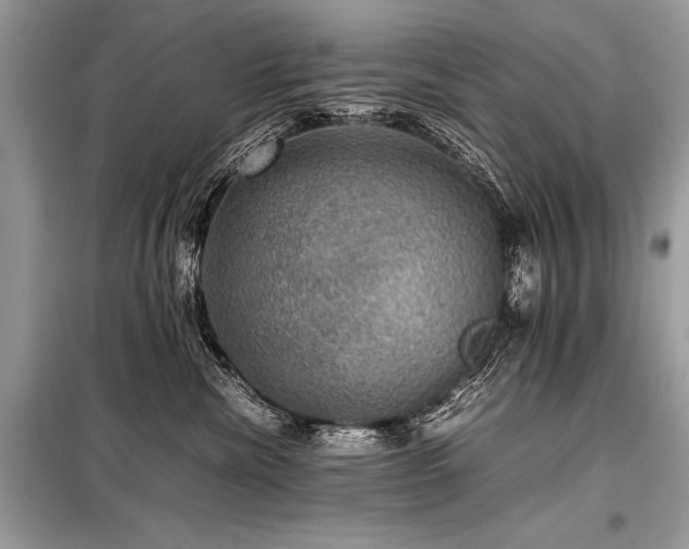 X0000098190476200804241249