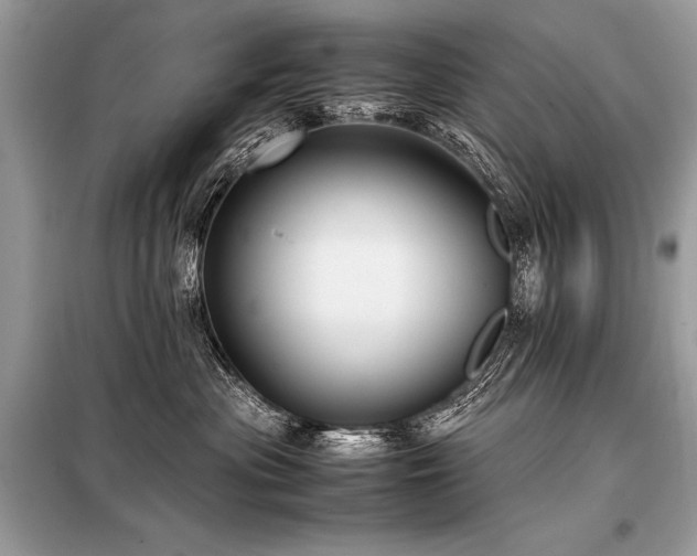 X0000098190477200804241249
