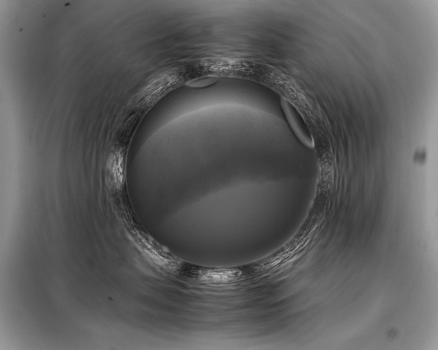 X0000098190479200804241249