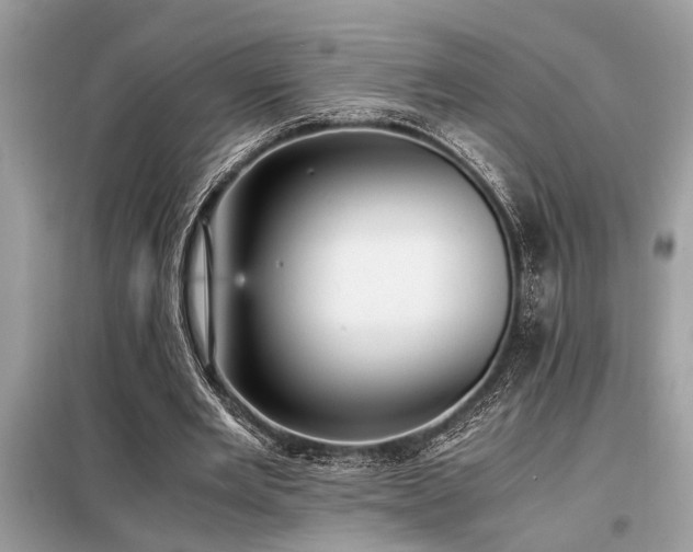 X0000098190485200804241248