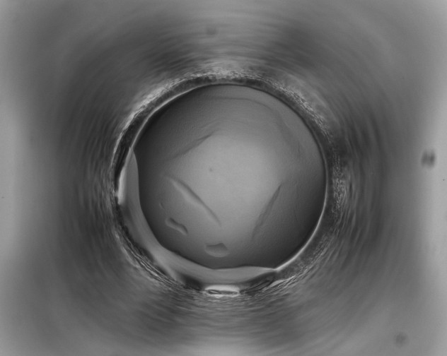 X0000098190488200804241248