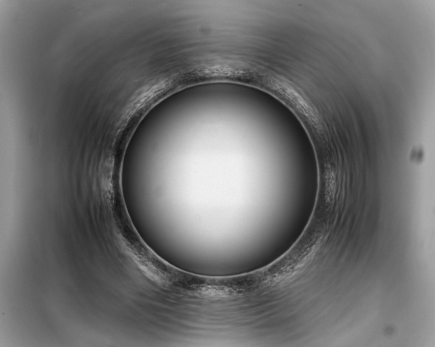X0000098190490200804241248