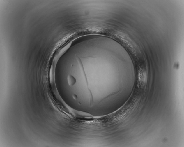 X0000098190492200804241248