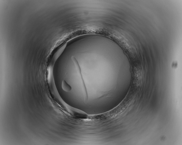 X0000098190496200804241248
