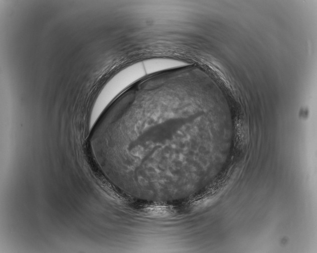 X0000098190499200804241248