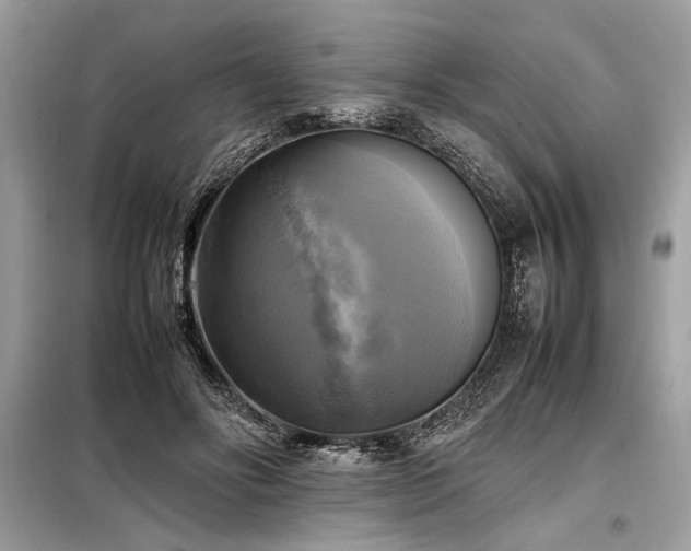 X0000098190502200804241248