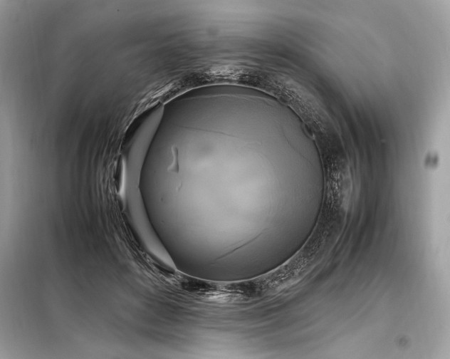 X0000098190504200804241248