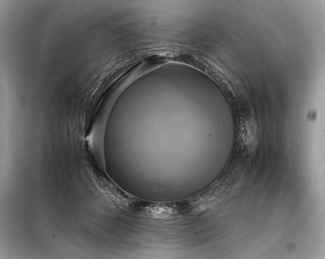 X0000098190512200804241248