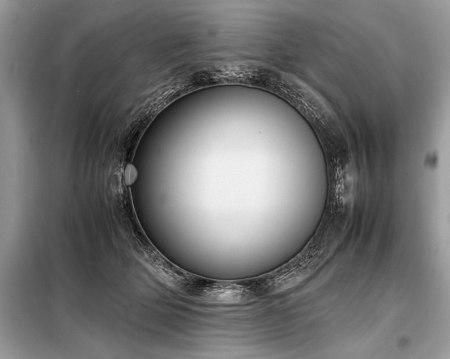X0000098190514200804241248