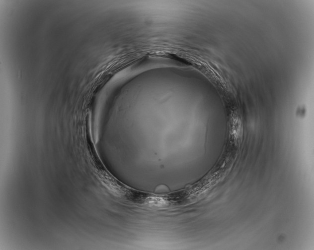 X0000098190519200804241248