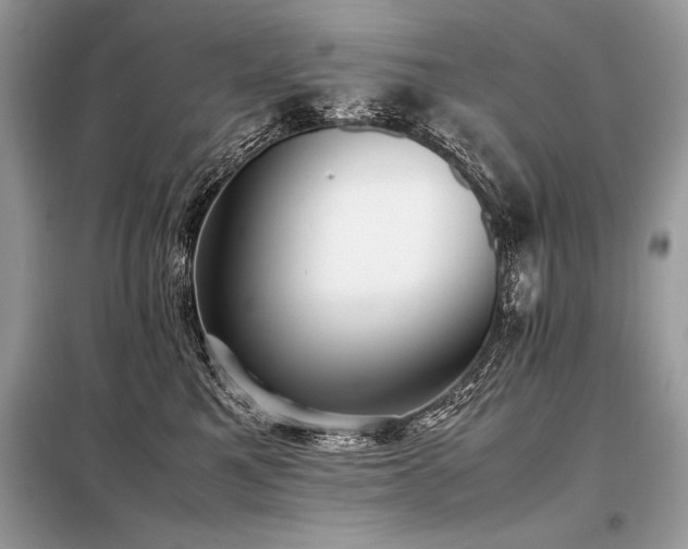 X0000098190521200804241248