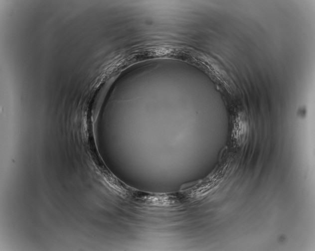 X0000098190524200804241247