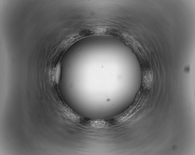 X0000098190525200804241247