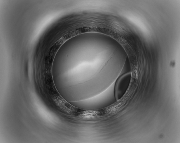 X0000098190526200804241247