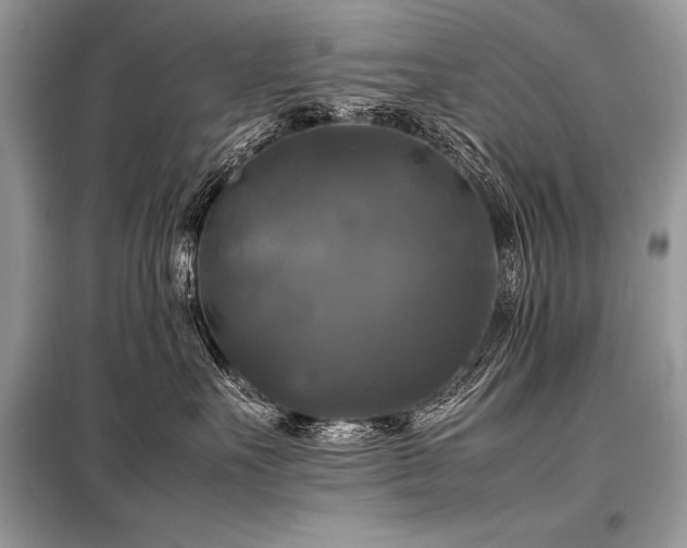 X0000098190527200804241247