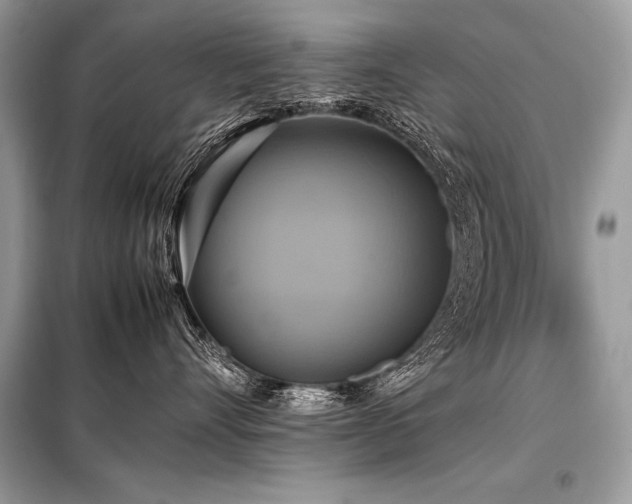 X0000098190528200804241247