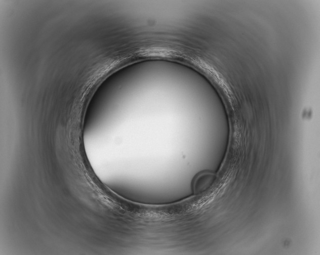 X0000098190529200804241247