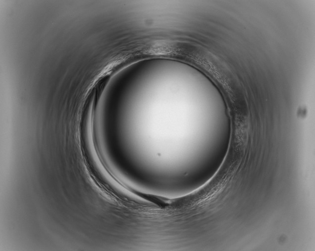 X0000098190530200804241247