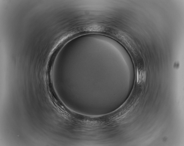 X0000098190531200804241247