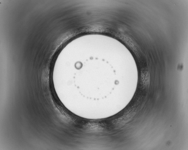 X0000098190534200804241247