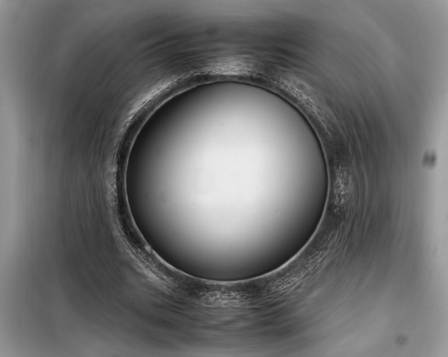 X0000098190535200804241247