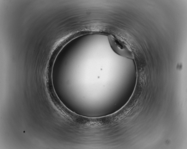 X0000098190536200804241247