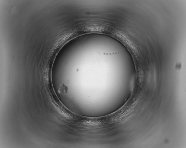 X0000098190537200804241247