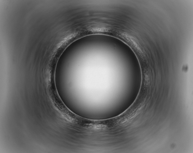 X0000098190539200804241247