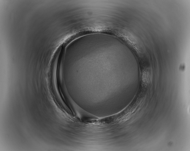 X0000098190540200804241247
