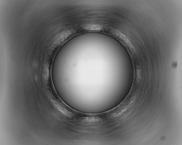 X0000098190541200804241247